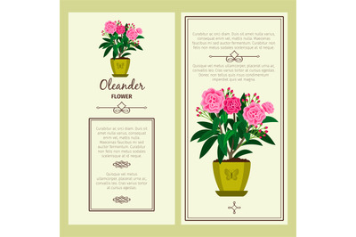 Oleander flower in pot banners