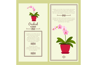 Orchid flower in pot banners