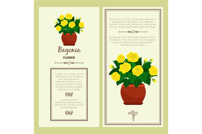 Greeting card with begonia plant