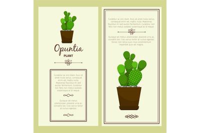 Greeting card with opuntia plant