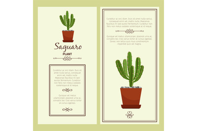 Greeting card with saguaro plant