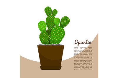 Opuntia indoor plant in pot banner