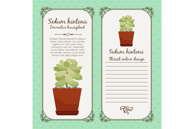 Vintage label with sedum hintonii plant