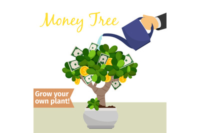 Hand watering money tree