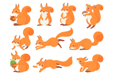 Cartoon squirrel. Cute squirrels with red furry tail&2C; mammals animals