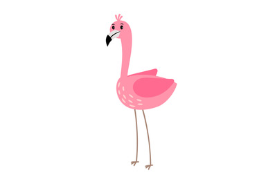 Pink flamingo bird