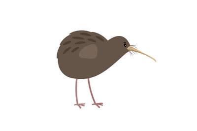 Kiwi cute cartoon bird icon