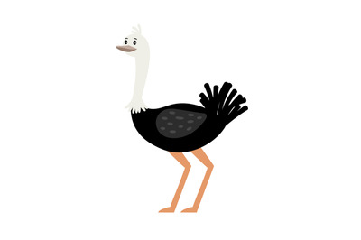 Ostrich cartoon bird