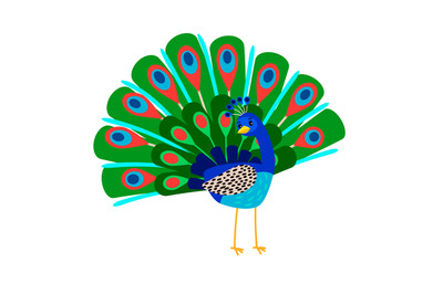 Cartoon peacock bird icon