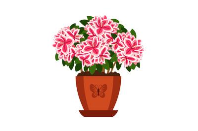 Azalea hoseplant icon