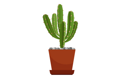 Cactus in ceramic pot