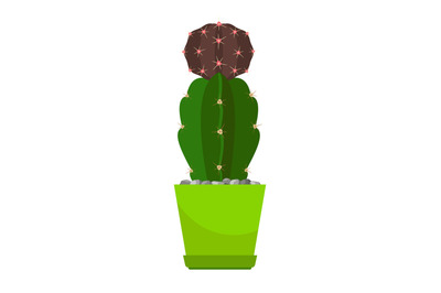 Cactus in green flower pot