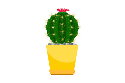 Cactus with pink flower