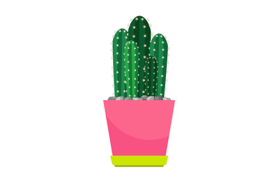 Cactus houseplant in flower pot