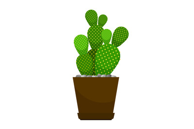 Cactus flower pot