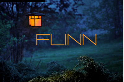 Flinn