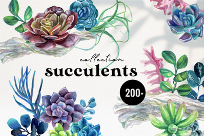 BIG Silver Succulents Graphic Set