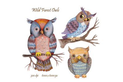 Watercolor Wild Forest Owls