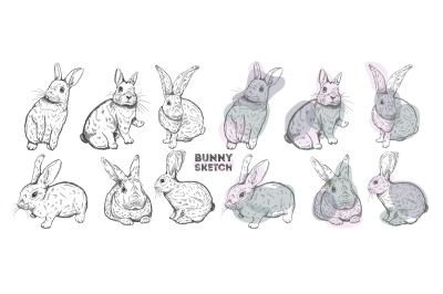 Rabbit set