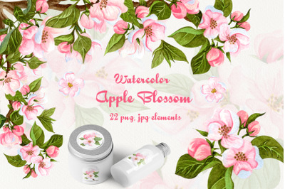 Apple Blossom Watercolor Clip Art