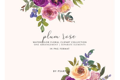 Plum and Blush Watercolor Floral Clipart Set