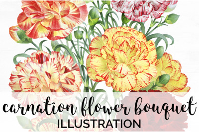 Bouquet Carnation Clipart