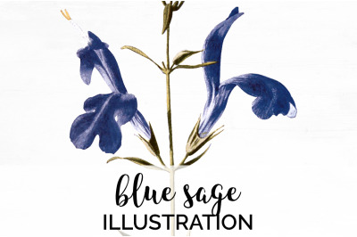 Blue Flowers Clipart Sage