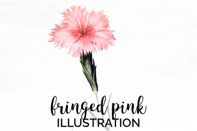 Pink Flower Clipart