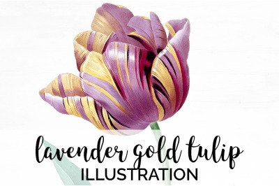 Tulip Clipart