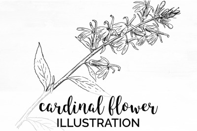 Flowers Black and White Clipart