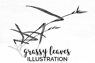 Flowers - Grassy Leaves Vintage Clipart Graphics