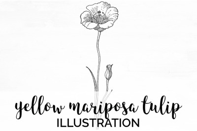 Tulip Black and White Clipart