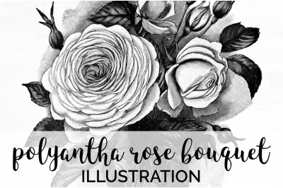 Rose Black and White Clipart