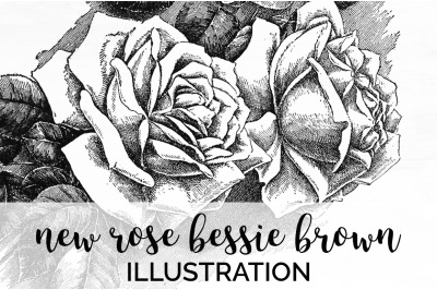 Rose Black and White Clipart