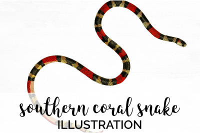 Snake Clipart Vintage Coral Snake