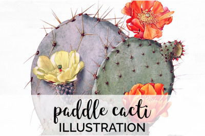 Cactus Clipart