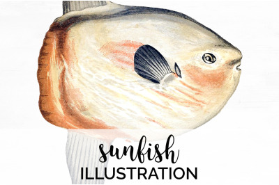 Fish Clipart