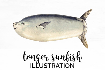 Fish Clipart