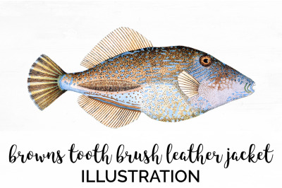 Fish Clipart