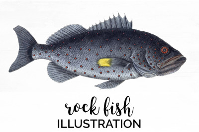 Fish Clipart