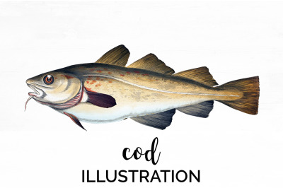 Fish Clipart