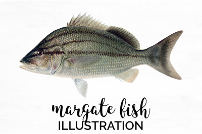 Fish Clipart