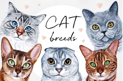 Watercolor set illustrations cat breeds. Cute 15 cats