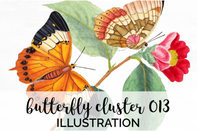 Butterflies Clipart