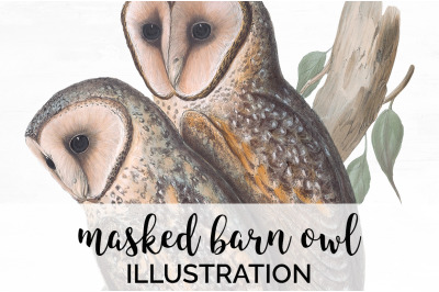 Owl Clipart