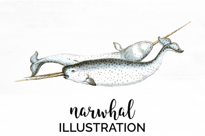 Narwhal Clipart