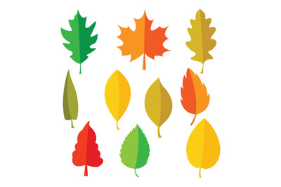 colorul leaf shape simple vector illustration