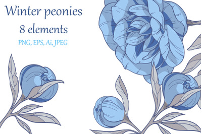 winter blue peonies set, 8 elements