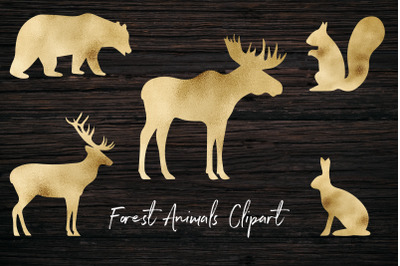 Forest Animals Clipart