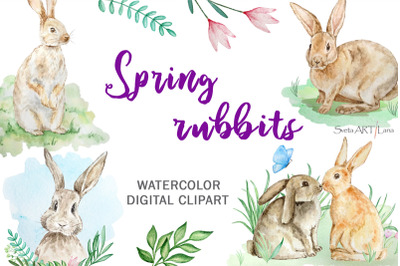 Watercolor Spring Rabbit Clipart Set